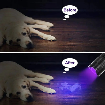 LED UV Flashlight