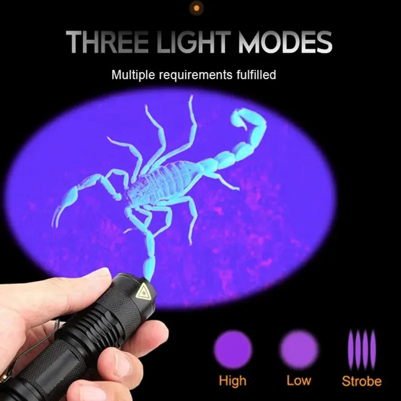 LED UV Flashlight