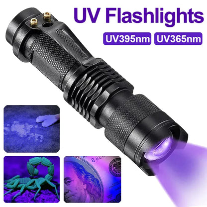 LED UV Flashlight